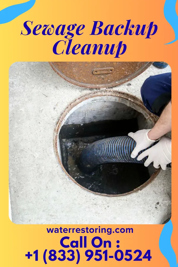 Sewage Backup Cleanup in Jefferson, IA
